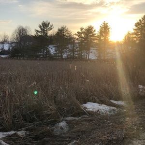 Meet your Posher, Lindsay